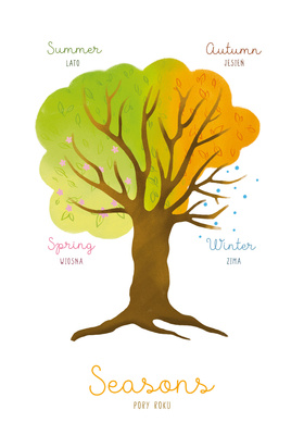 Pory roku na przykładzie drzewa - Plakat edukacyjny Montessori